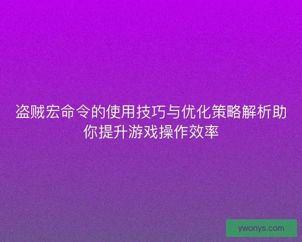 盗贼宏命令的使用技巧与优化策略解析助你提升游戏操作效率