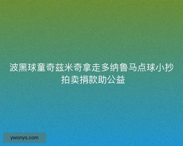 波黑球童奇兹米奇拿走多纳鲁马点球小抄 拍卖捐款助公益